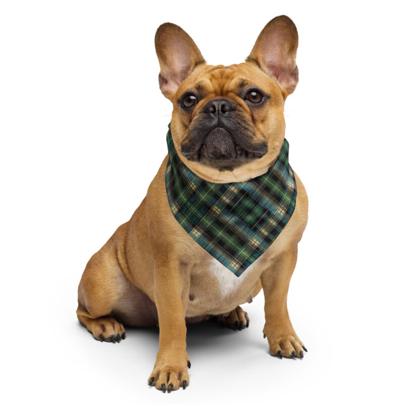Tartan Muster - Bandana – Allover – HOB Products